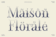 CS Greasy Halfpixel, a Serif Font by Craft Supply Co. (Thumbnail 7 of 8)