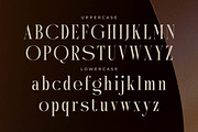 Mystequ New Modern Display, a Serif Font by Storytype Studio (Thumbnail 12 of 15)
