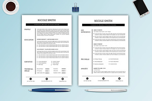 Professional Resume / CV -V023