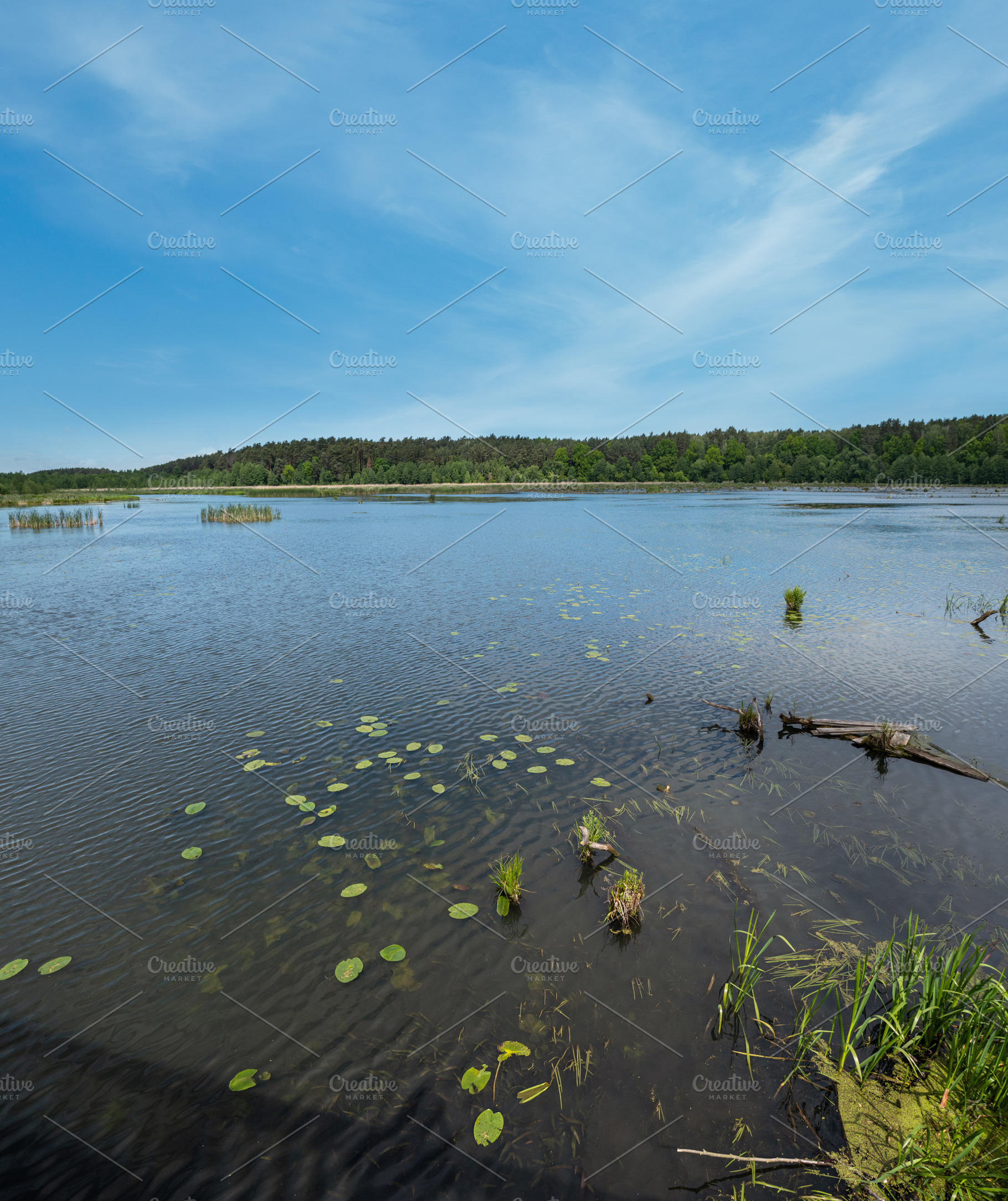 Summer valley lake landscape, a Nature Photo by YuriyB