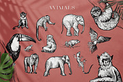 Tropica Collection, a Seasonal Illustration by Michael Rayback Design (Thumbnail 2 of 15)