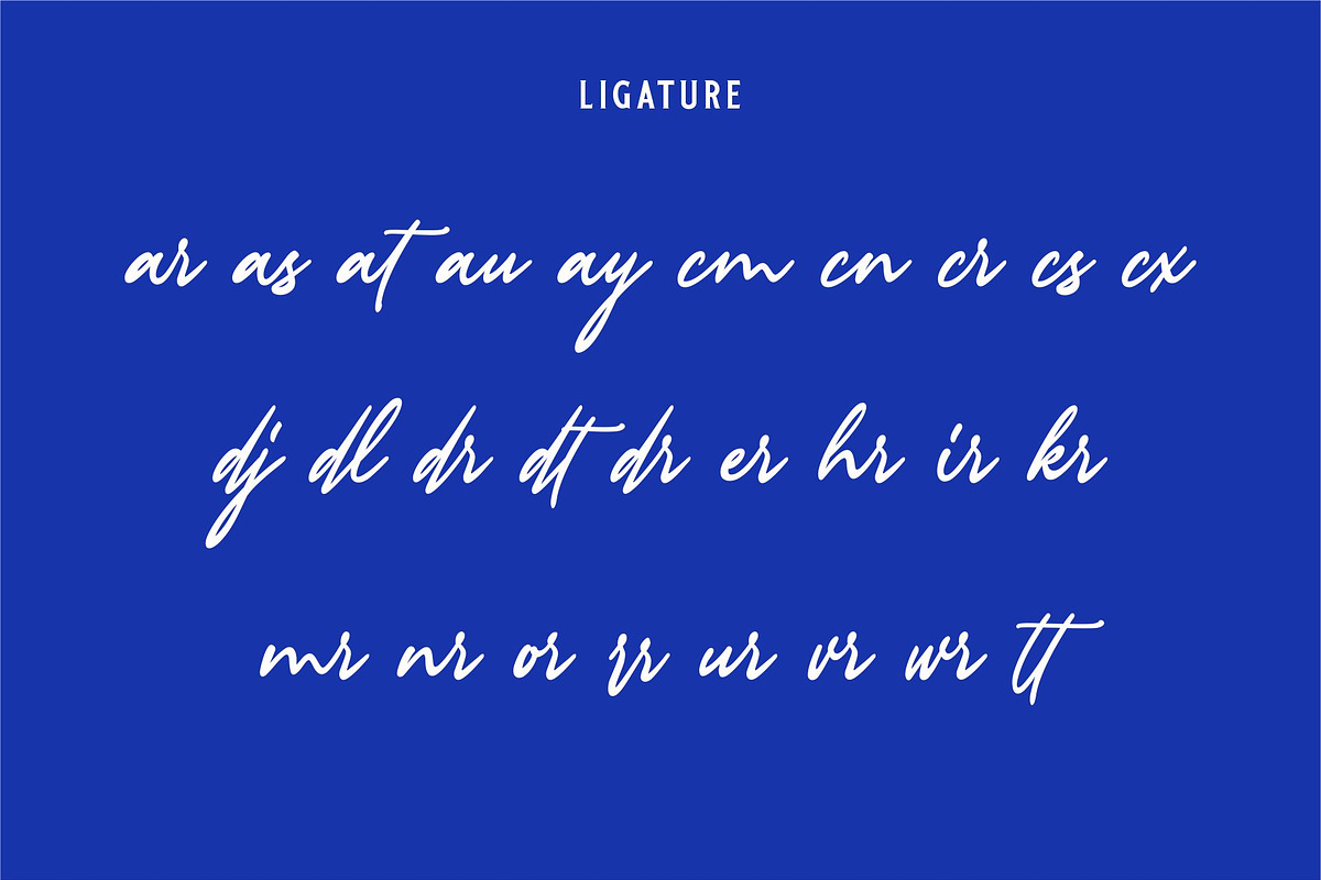 ROYAL HINDIA | Signature Logo Script, a Handwritten Font by Havinkpen (Photo 8 of 8)