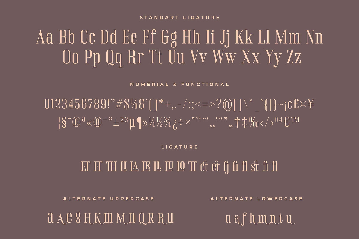 Rinella Modern Serif font, a Serif Font by RantautypeStudio (Photo 12 of 13)