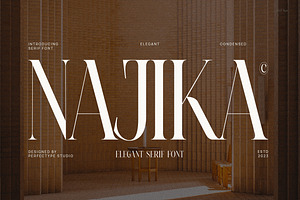 Najika Elegant Serif Font Typeface