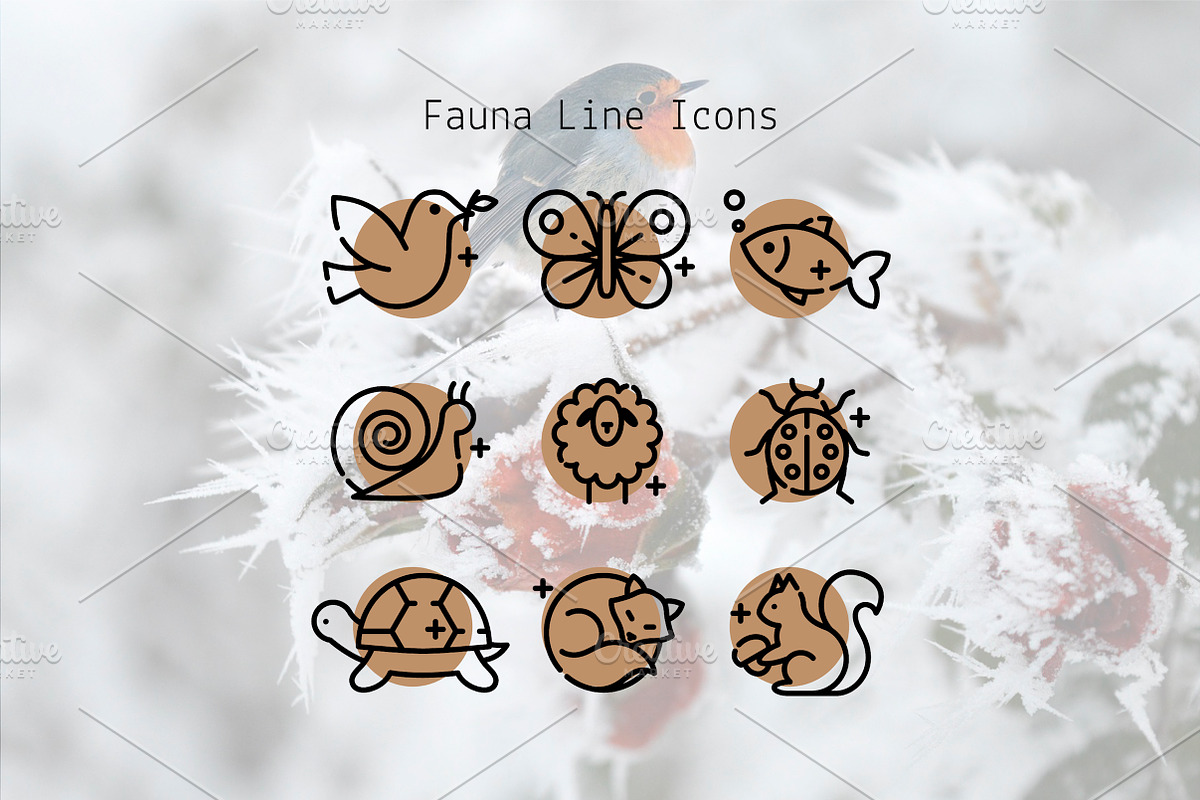 Fauna Line Icons, an Outline Icon by Lyolya Profitrolya (Photo 1 of 2)