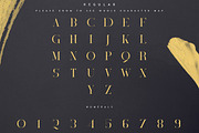 SALE! Black Gold serif typeface, a Serif Font by VP Fonts (Thumbnail 17 of 25)