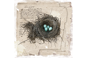 Robin's Nest - Sepia Edition, an Illustration by Digital Art Downloads (Thumbnail 3 of 3)
