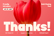 Ghifiuk - Bold Display Font, a Sans Serif Font by QR Design Studio (Thumbnail 13 of 13)