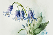 Watercolor Flowers Collection, a Decorative Illustration by Cam' Studio (Thumbnail 6 of 9)