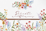 Watercolor Flower - Delicate Wild, a Decorative Illustration by Beigetime (Thumbnail 8 of 16)