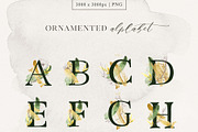 Delicate Greenery Watercolor+Pencil, a Texture Illustration by Inky Jar Design Studio (Thumbnail 10 of 15)