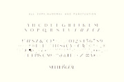Monic - Modern Ligature Font, a Sans Serif Font by suhadidesign (Thumbnail 11 of 11)
