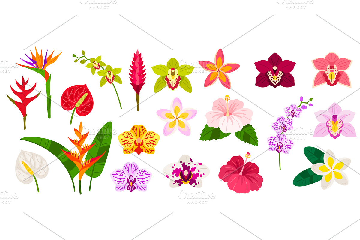 Tropical flowers flat icon set, an Object Illustration by kotoffei