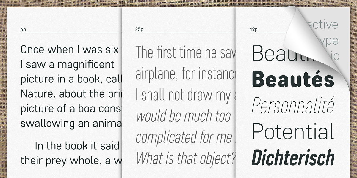Core Sans DS, a Sans Serif Font by S-Core (Photo 4 of 6)