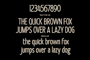 TAN - BOROUGHS, a Serif Font by TanType (Thumbnail 10 of 10)
