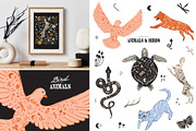 Botany & Halloween mystery BUNDLE, a Decorative Illustration by Ruslana Lubenets (Thumbnail 43 of 47)