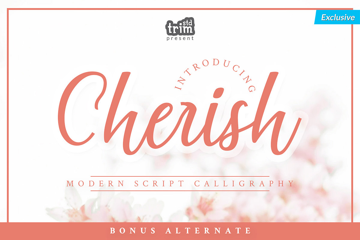 Cherish Modern Script Font Set, a Script Font by TrimStudio (Photo 1 of 11)