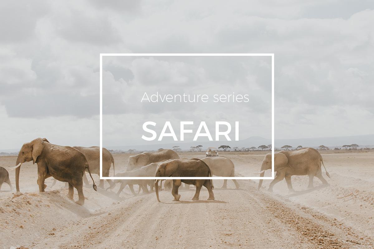 Adventure Series: Safari LR Preset