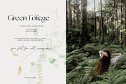 GREEN FOLIAGE - greenery & gold set, a Decorative Illustration by Grace Noboa Illustrations (Thumbnail 2 of 10)