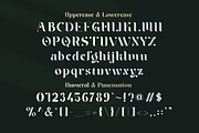 Braga Serif - Classic & Modern, a Serif Font by Lettertype Studio (Thumbnail 7 of 10)