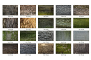 20 Tree Bark Texture, a Texture Graphic by CCPreset (Thumbnail 2 of 3)