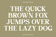 Kalren Display, a Serif Font by Zaloma Studio (Thumbnail 10 of 13)