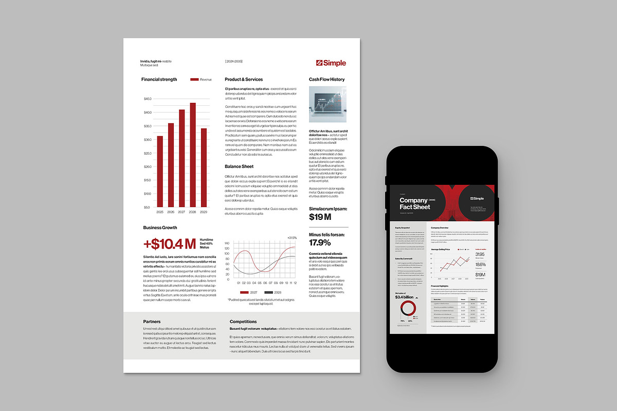 Company Fact Sheet Template, a Flyer Template by BrandPacks (Photo 2 of 5)
