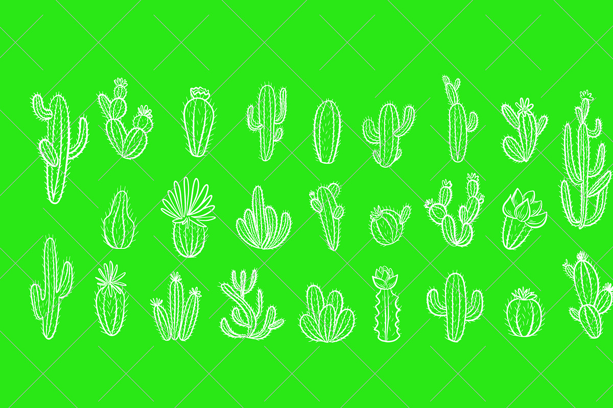 Cactus set, a Background Graphic by IPVector (Photo 7 of 8)