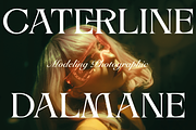 Alverich - Modern Serif Font, a Serif Font by Comactype Foundry (Thumbnail 15 of 22)