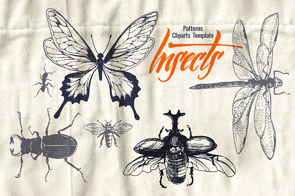 Insects in patterns and cliparts preview 5