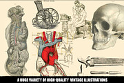 100 Vintage Medical Illustrations, a Healthcare Illustration by Dene Studios (Thumbnail 5 of 7)
