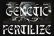 Doverise Typeface, a Blackletter Font by alit design (Thumbnail 2 of 20)