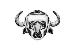 Boxer animal. Vector illustration