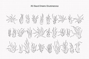 Air Plant Ink Illustration Set, an Illustration by Hannah Eliza Studio (Thumbnail 2 of 5)