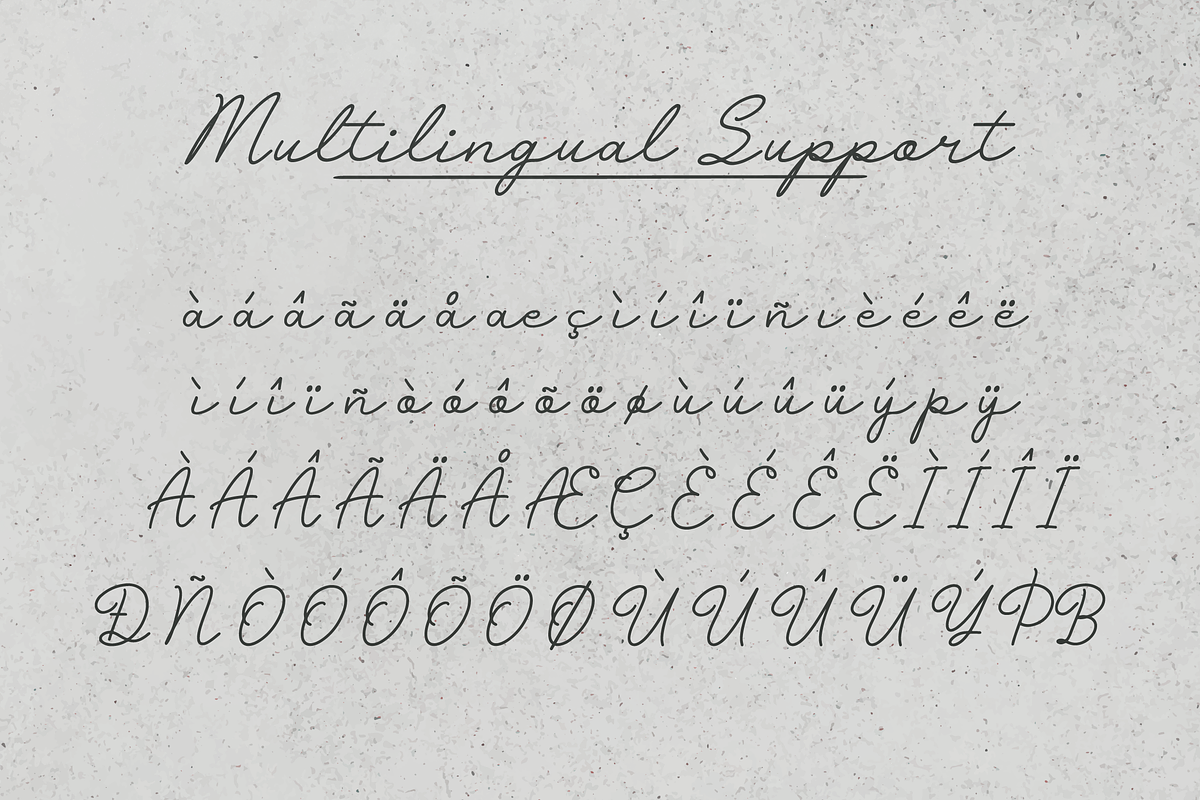 Nestaly Monoline Script Handwritten, a Script Font by gracetype_studio (Photo 14 of 16)