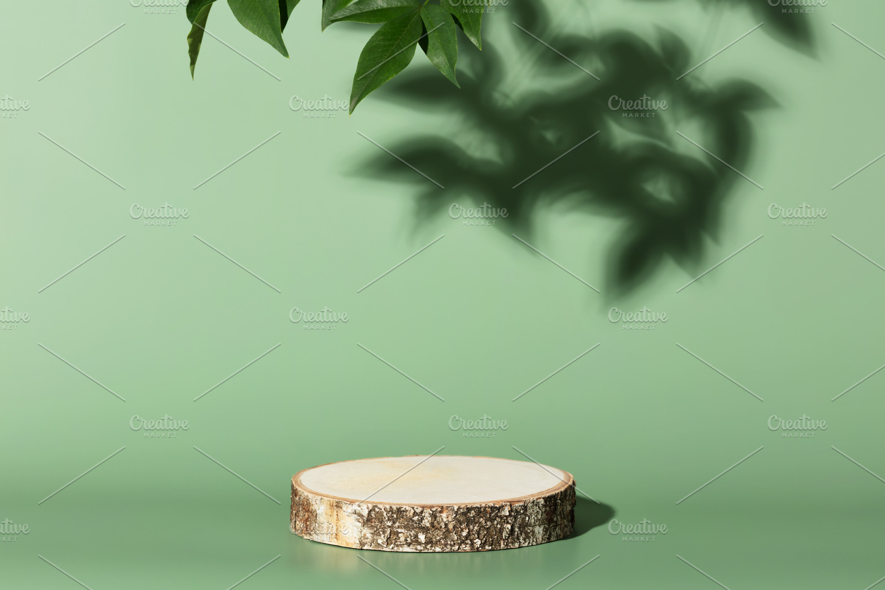 Wood slice podium on green background for cosmetic product mocku, an Abstract Photo by Natalia Klenova's Shop