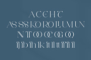TESSA - Elegant Serif Font, a Serif Font by Aqeel_Art (Thumbnail 11 of 12)