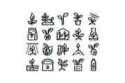 Developing plants and growing, an Object Graphic by pikepicture (Thumbnail 1 of 3)