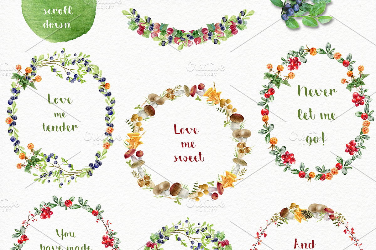 Forest watercolor designer toolkit, an Animal Illustration by Elegantia (Photo 24 of 28)