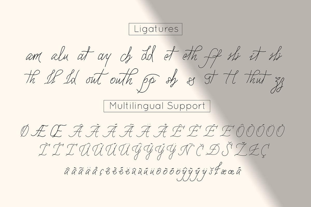Alpha & Omega signature script font, a Script Font by Anna Zakharchenko