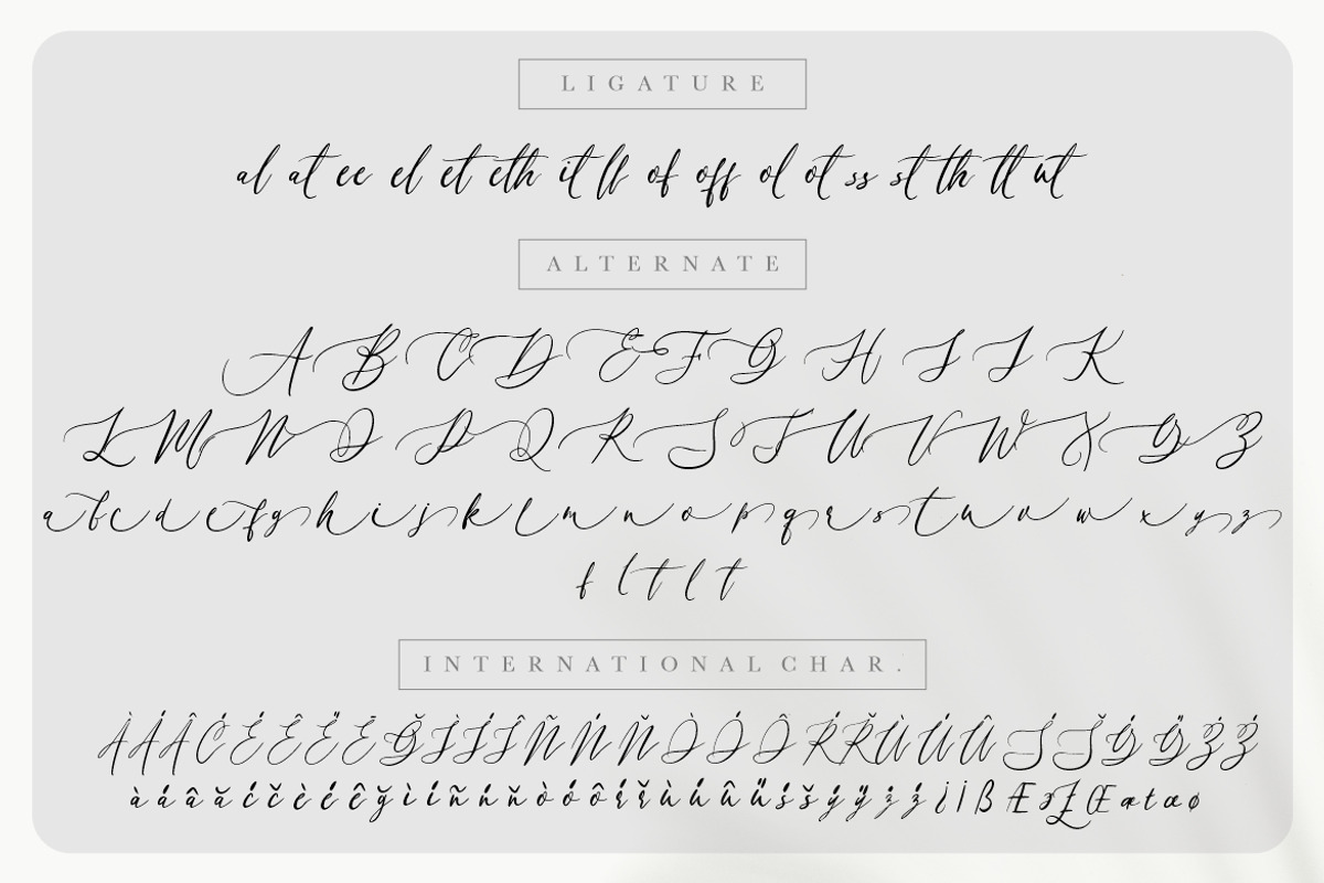 Franchisca Luxury Script, a Script Font by Creatype Studio (Photo 8 of 9)