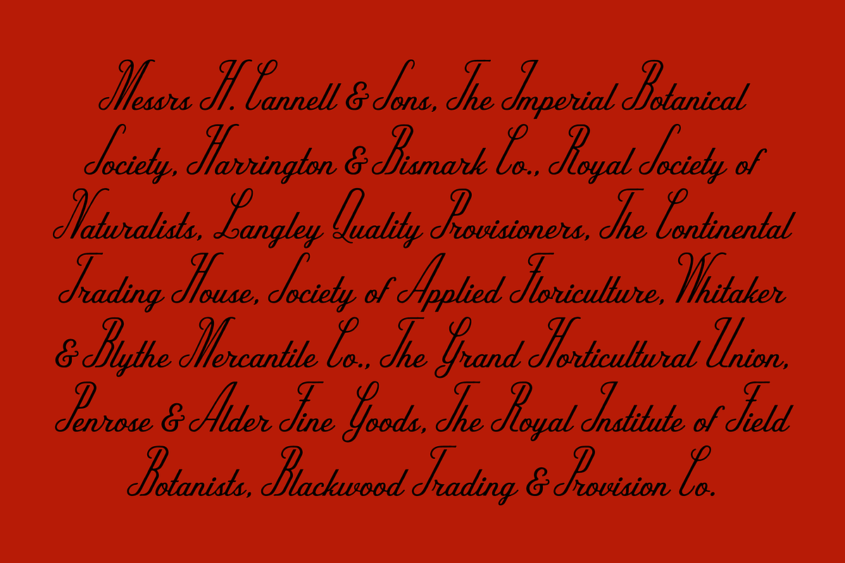 Karamello, a Script Font by SAMPLE (Photo 5 of 5)