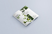 Trifold Brochure Mockup, a Print Template by mockupatelier (Thumbnail 12 of 15)