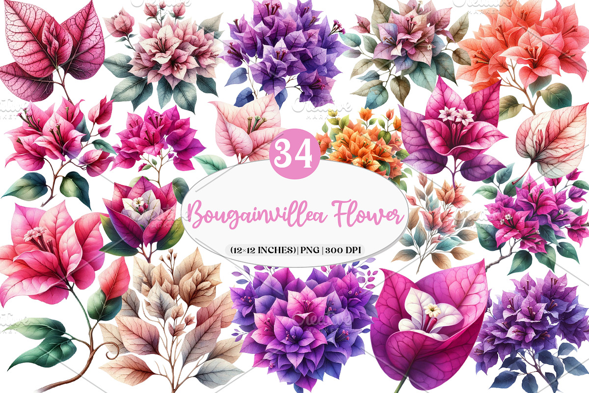 Bougainvillea Flower Clipart Bundle, an Illustration by Watercolor design (Photo 1 of 4)