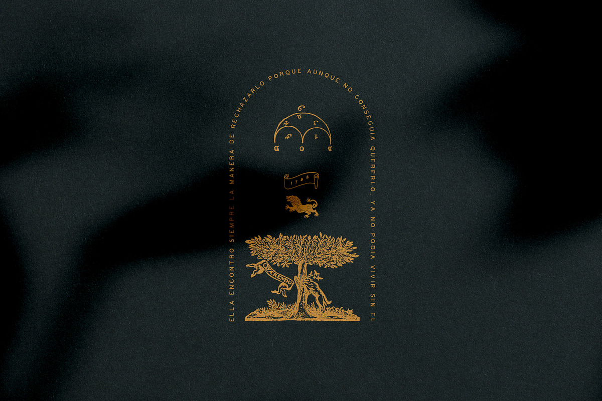 Palmistry, Zodiac & Occult, an Illustration by Nomad Visuals (Photo 10 of 13)
