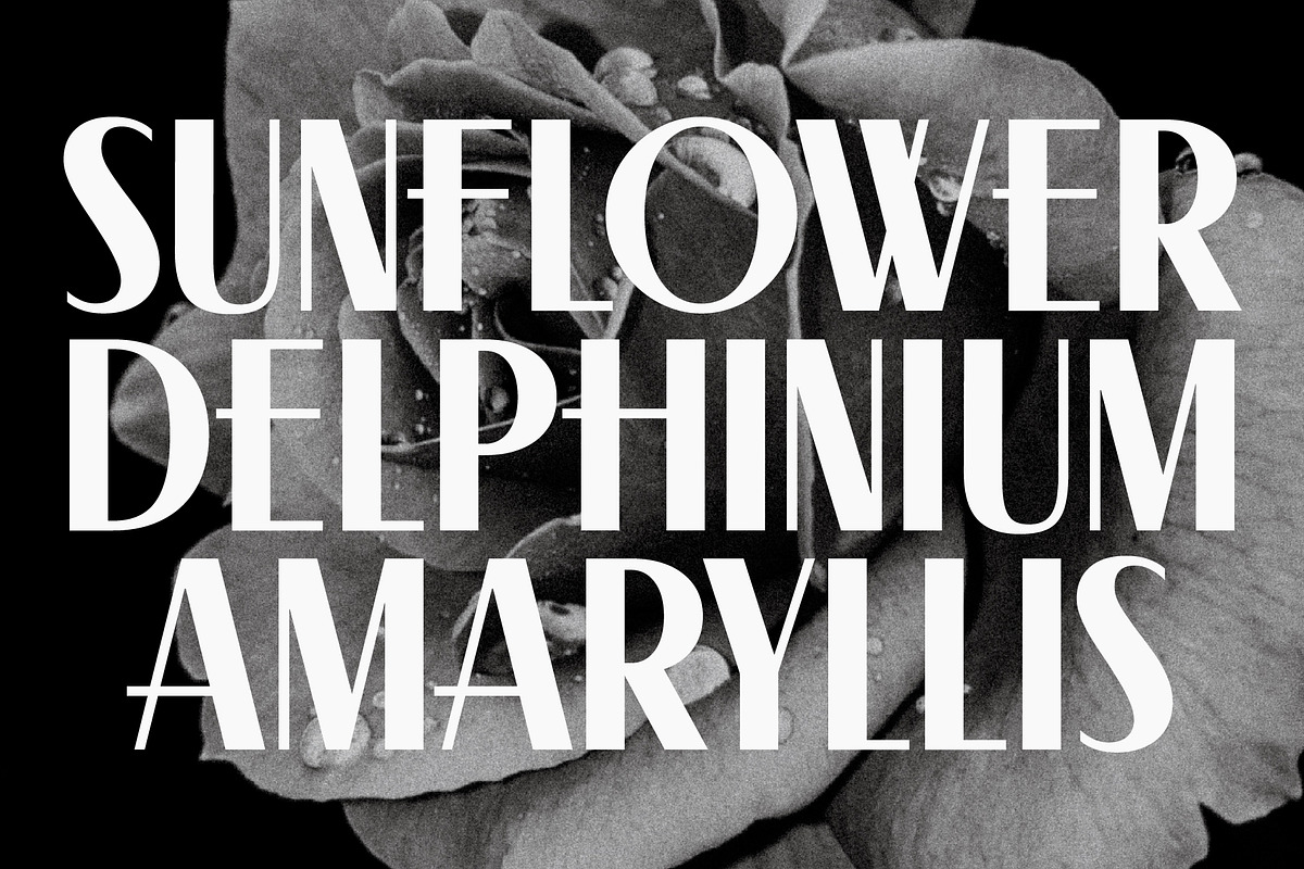 Swingline - Variable 1930s Font, a Sans Serif Font by The Type Fella (Photo 7 of 12)