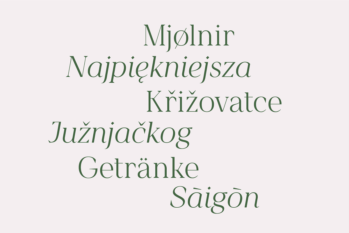 Feliz en Vista - Display Font, a Serif Font by Harmonais Visual (Photo 10 of 15)