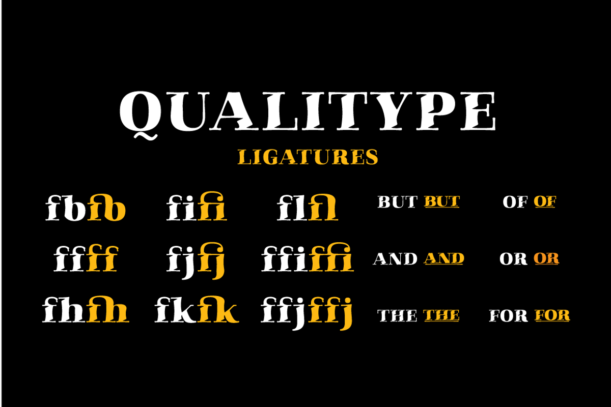 Qualitype Neo, a Serif Font by BULENT YUKSEL (Photo 16 of 28)