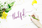 Paula Eva Script, a Script Font by Analogous (Thumbnail 10 of 10)