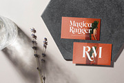 Single Robusta Modern Display Serif, a Serif Font by timelesstype.co (Thumbnail 13 of 20)